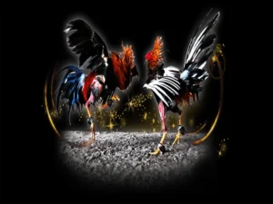 Bí Kíp Thống Trị Đá Gà Sabong Tại Good88 Để Bất Bại Mọi Kèo Cược