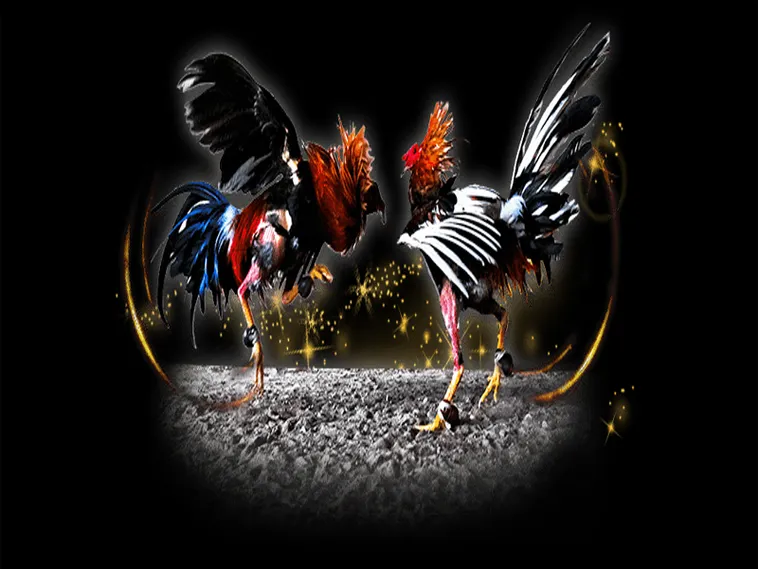 Bí Kíp Thống Trị Đá Gà Sabong Tại Good88 Để Bất Bại Mọi Kèo Cược